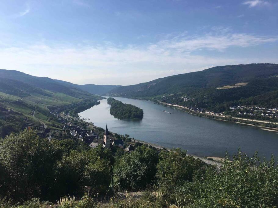 Haus Vier Burgen Blick - Views Onto Father Rhine Villa Lorch am Rhein Ngoại thất bức ảnh